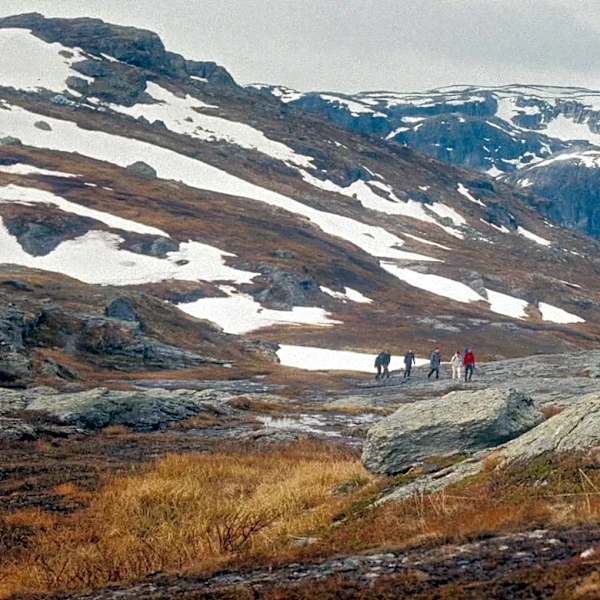How Himkok, One of the World’s Best Bars, Cultural Exchanges Are Key