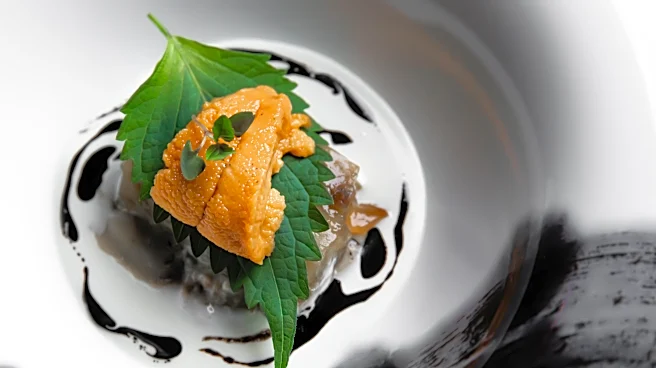 New San Francisco Restaurant Shinka Blends Japanese Flavors With French Technique