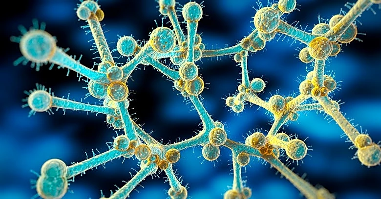 Deadly ‘superbug’ fungus spreads to 23 states as Texas reports most cases