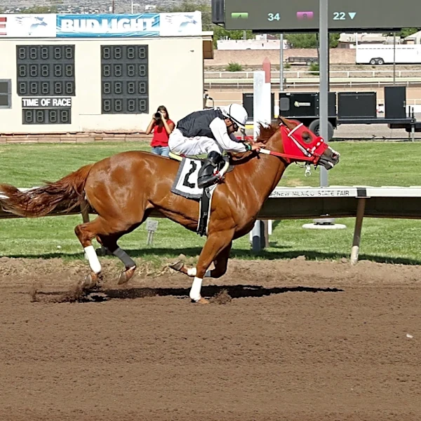 All American Futurity trials Day 1: Live results from Albuquerque, NM