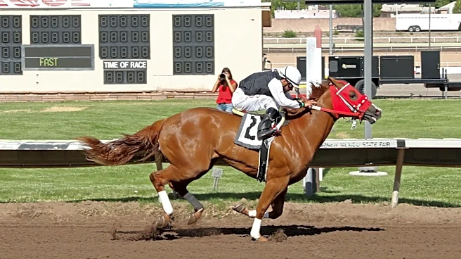 All American Futurity trials Day 1: Live results from Albuquerque, NM