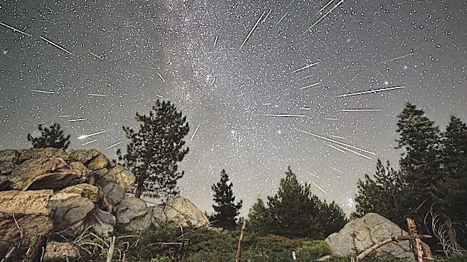 What time is the meteor shower? What to know about watching Perseids