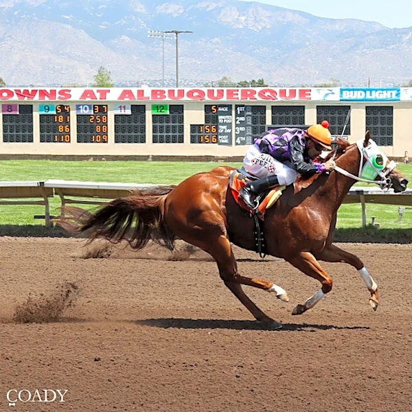 Tempting Lu, Jess A Bad Lil Cat scratched from All American Futurity 2026