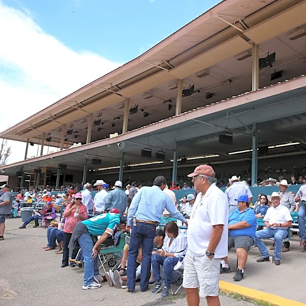 All-American Futurity, Triple Crown series headed to Lone Star Park