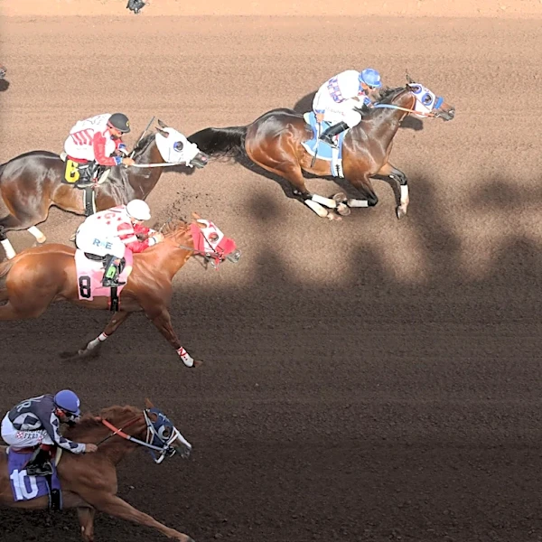 Effortless Favorite wins 440-yard, Grade 1 All American Derby