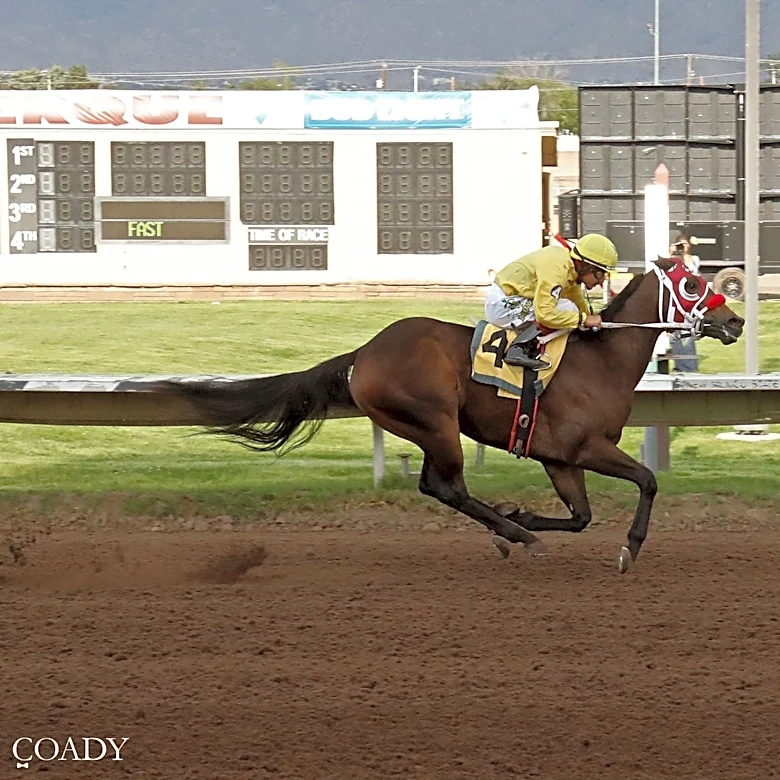 So long: Cowboys cruises to win final All American Futurity in New Mexico