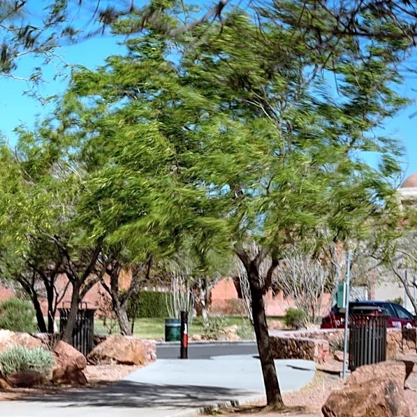 Police investigating shooting at Tom Lea Park in West El Paso