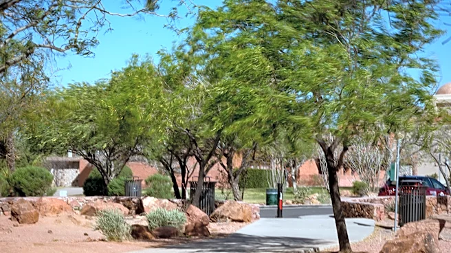 Police investigating shooting at Tom Lea Park in West El Paso