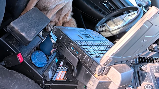 Stray no more: Lost dog jumps into El Paso police car for help