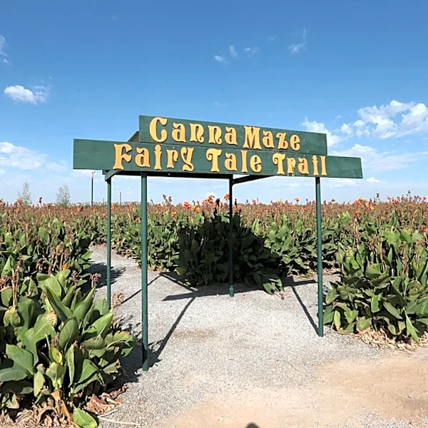 La Union Maze delays opening after storms: ‘Conditions are not safe’
