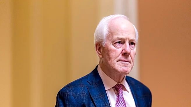 John Cornyn won't help Ken Paxton win Texas Senate seat