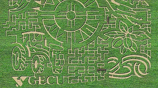 El Paso's fall corn maze season is here: Where to go, what to pay