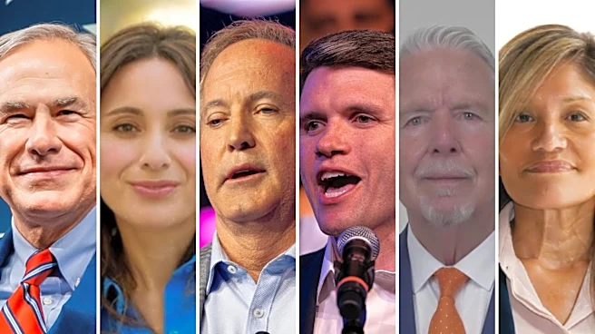 El Paso 2026 voter guide: Where candidates stand before Nov. 3