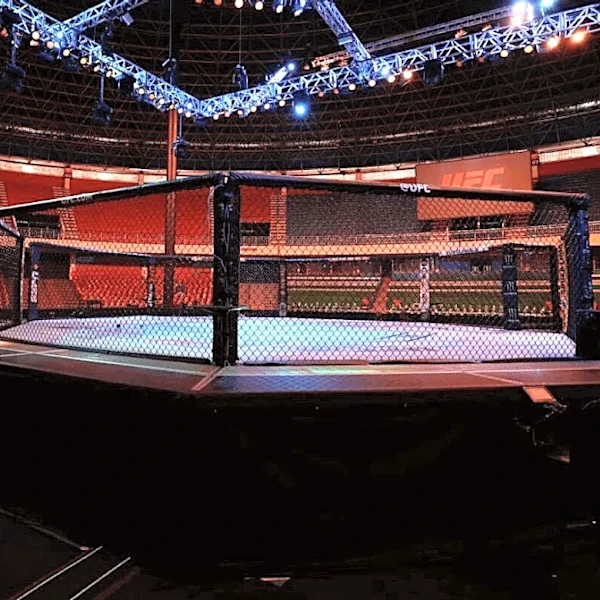 UFC HOFer’s Wife Files for Divorce Days After Public Felony Arrest