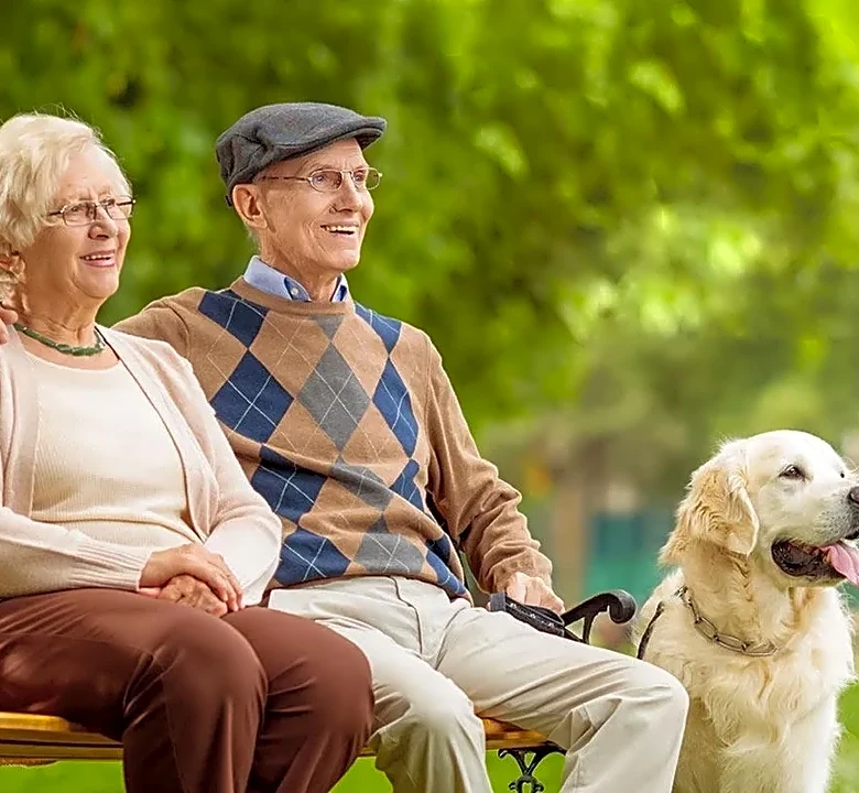 How to Choose a Cell Phone That Is Easy for Seniors to Use