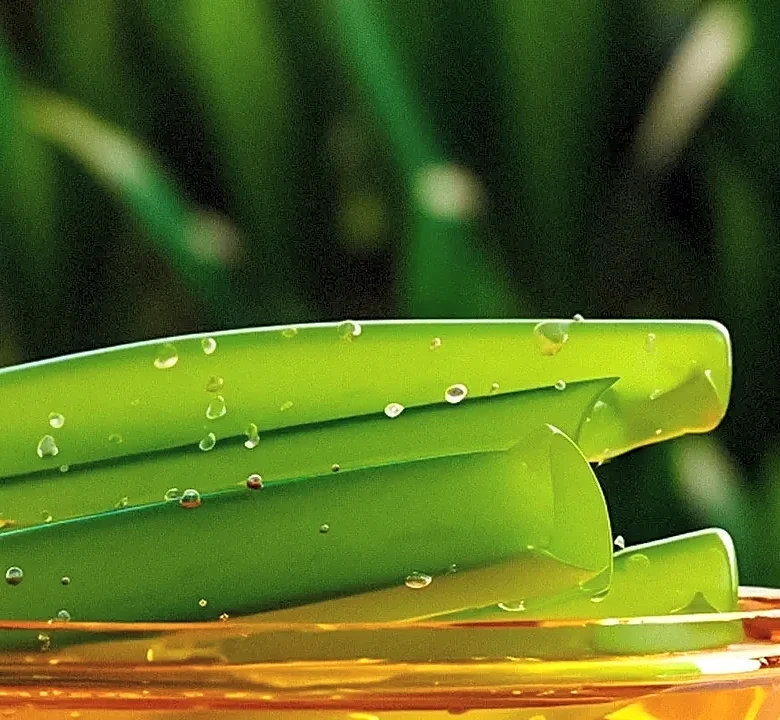 The Potential Benefits and Limits of Collagen After 70