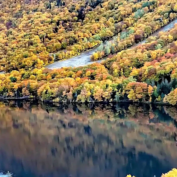 What to Know Before Taking a Fall Foliage Drive