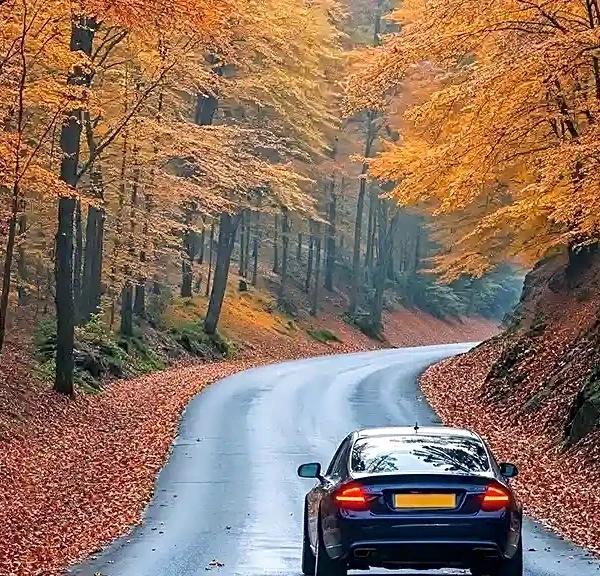 Hidden Details That Turn a Fall Foliage Drive Into a Remarkable Escape