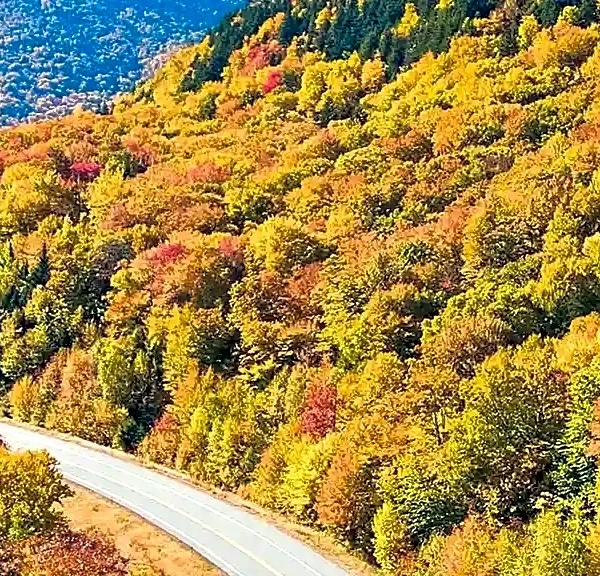 America’s Most Scenic Fall Foliage Drives for an Unforgettable Road Trip