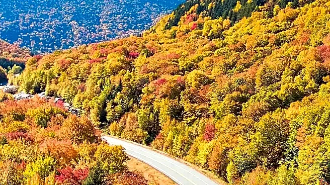 America’s Most Scenic Fall Foliage Drives for an Unforgettable Road Trip