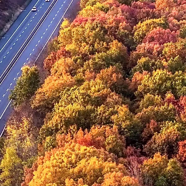 Why America’s Fall Foliage Drives Are Worth the Detour