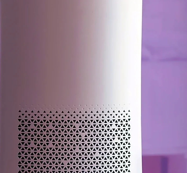 Can an Air Purifier Really Help With Allergy Symptoms?