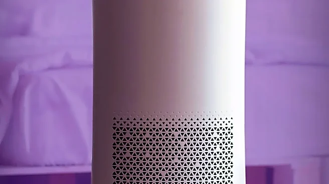Can an Air Purifier Really Help With Allergy Symptoms?