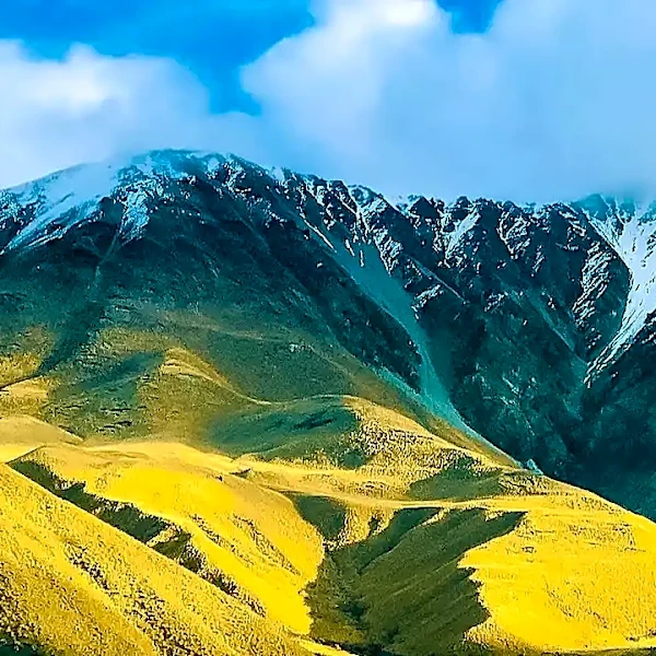 What Do You Actually Need for a Long Road Trip?