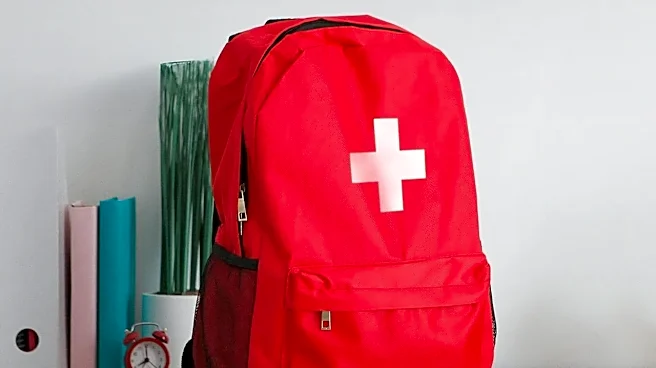 A Beginner’s Guide to Building a Travel First Aid Kit