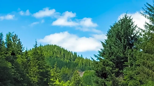 The Biggest Benefits of Traveling During Shoulder Season