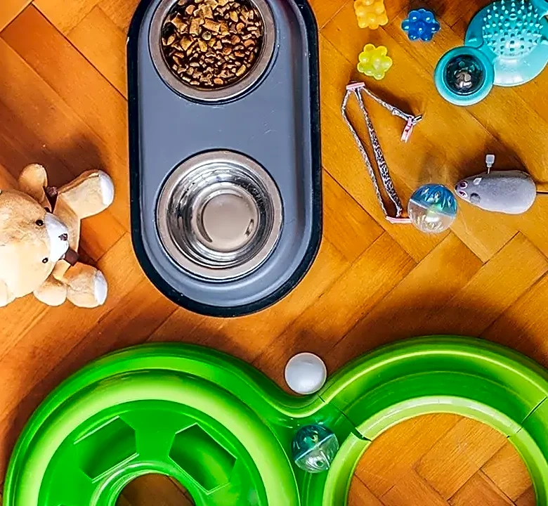 How to Prepare Your Pet for a Hotel Stay