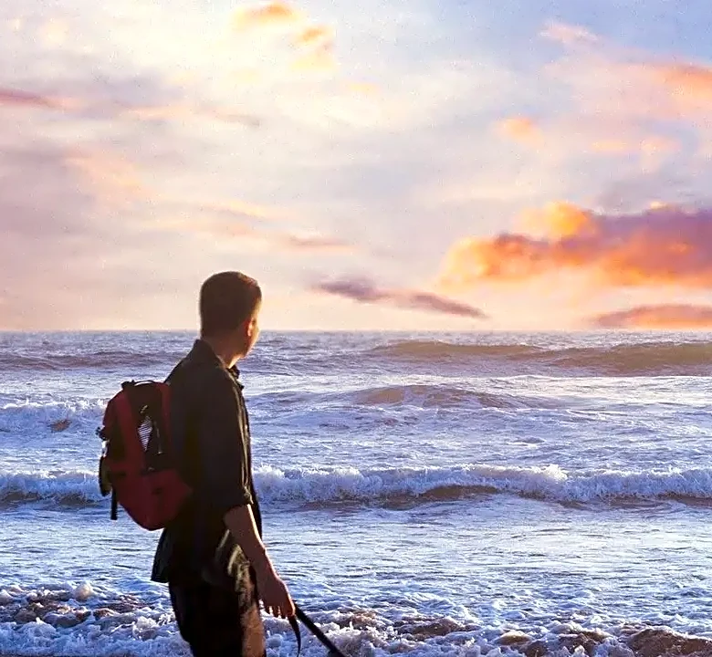 How to Choose a Vacation Destination That Works for You and Your Pet