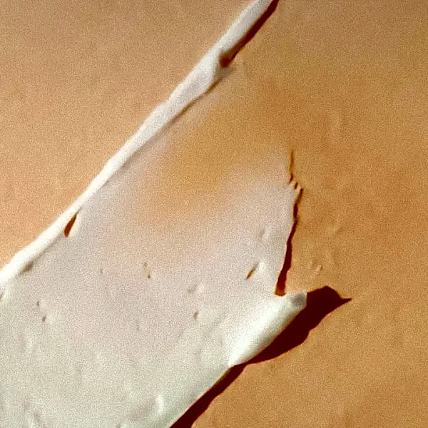 How to Tell If Your Skin Barrier Is Damaged