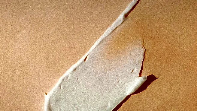 How to Tell If Your Skin Barrier Is Damaged