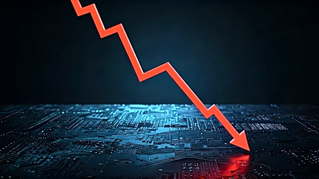 Robinhood's Worst Stock Crash That Wall Street Said Couldn't Happen