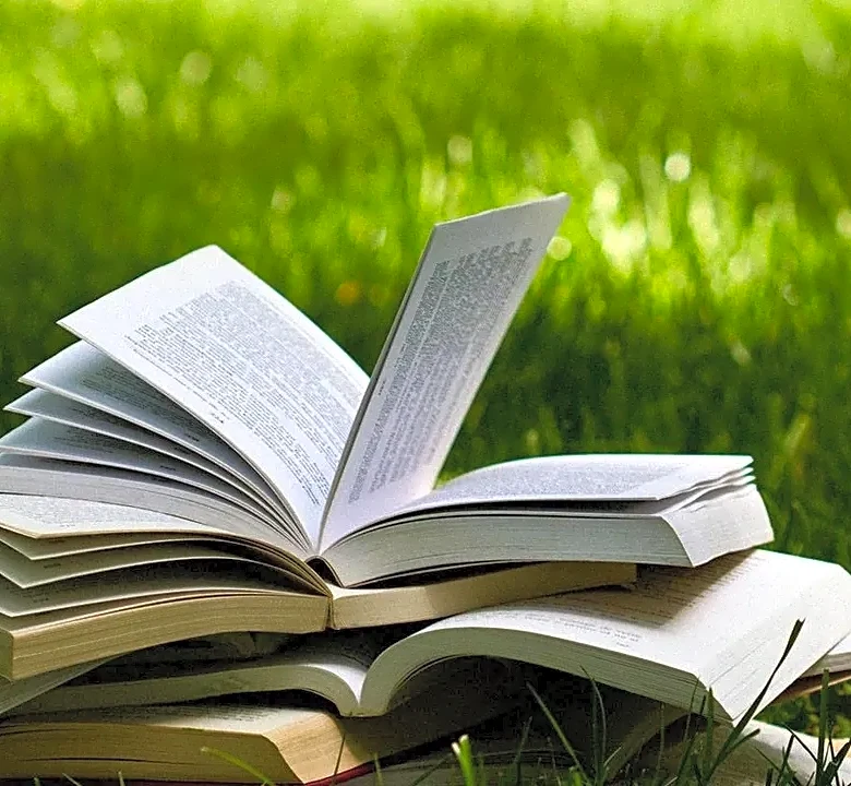 5 Books to Read If You Love the Friendster Story