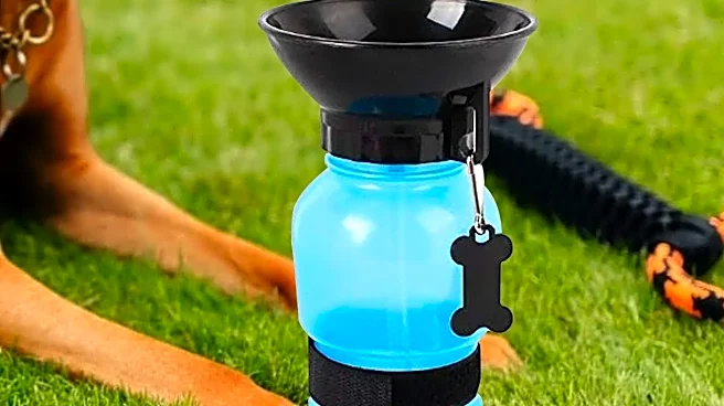 Why Pets.com's First Product Was a Failure