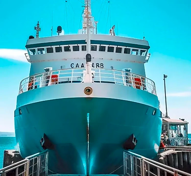 Documentaries to Watch If You Love Docker Inc.