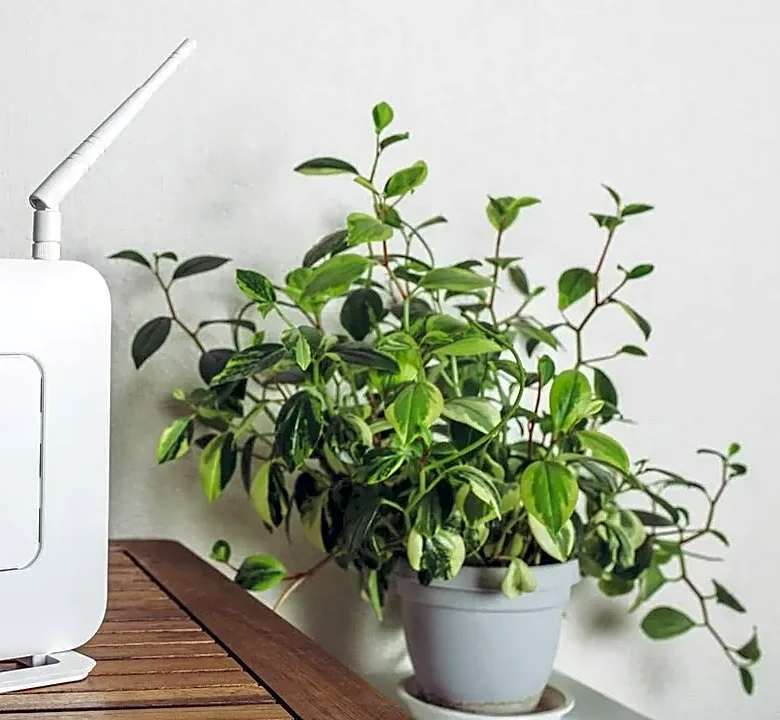 The Real Reason Wi-Fi Optimization Tips for a Coworking Space Were Designed the Way They Were