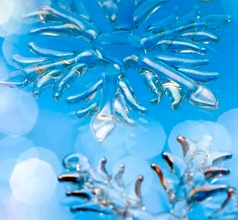 The Hidden Decision That Reshaped Snowflake