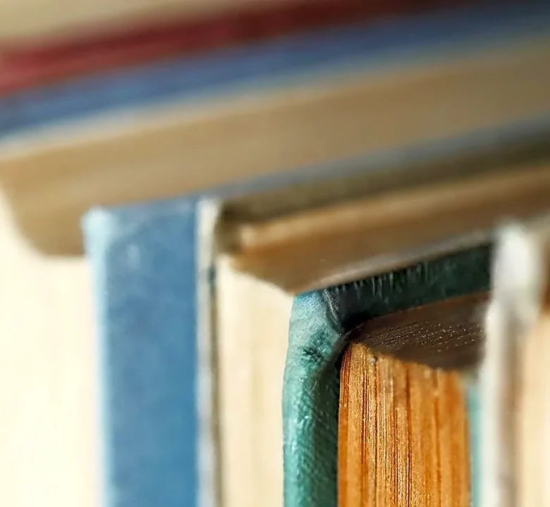 5 Books to Read If You Love the Play Framework Story