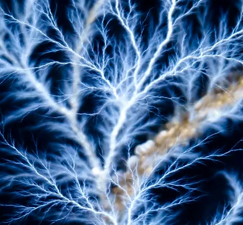 Why Recurrent Neural Networks (RNNs) Look Different in Practice Than in Papers
