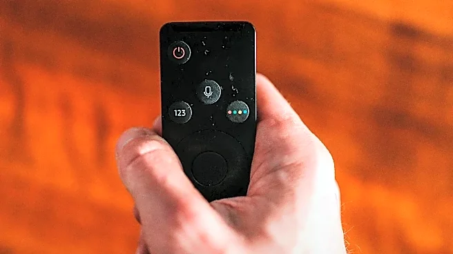 7 Frameworks That Pair Well With Roku