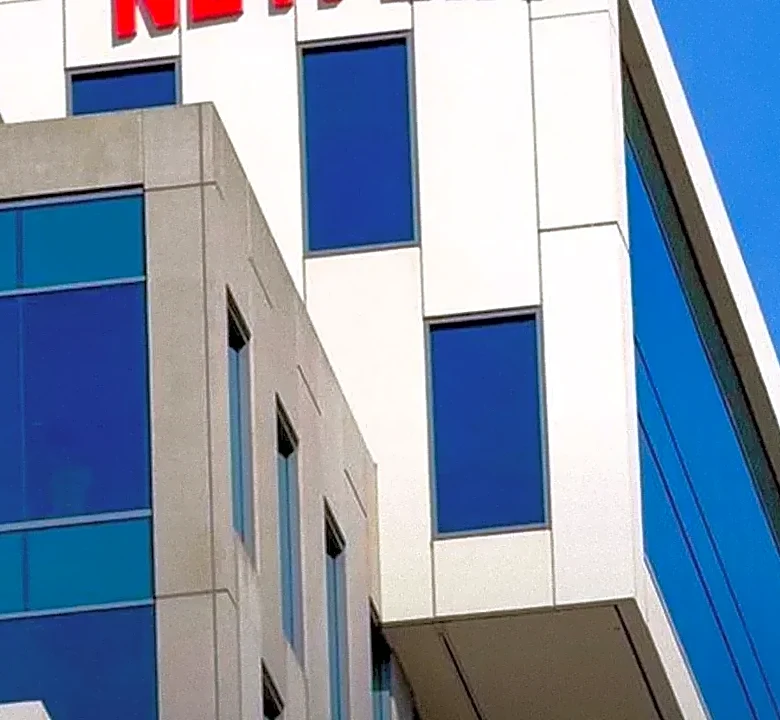 Why Netflix's Founders Disagreed on the Direction That Defined the Company