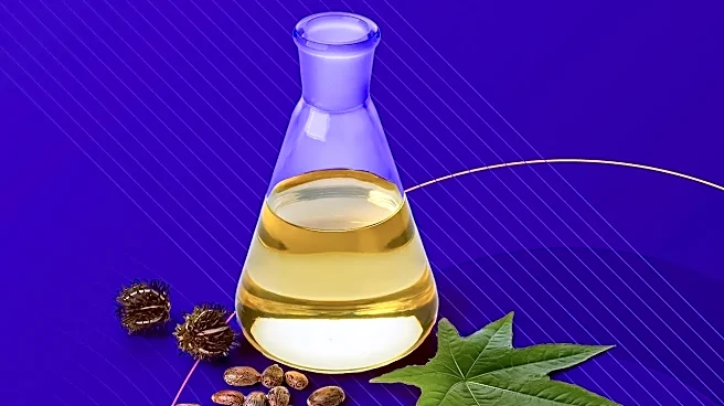5 Tools to Try If You Love Flask