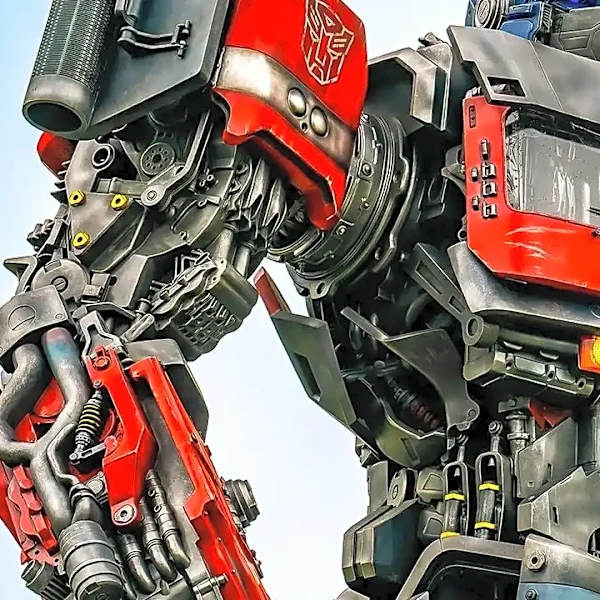 Why Vision Transformers (ViT) Surprise First-Time Practitioners