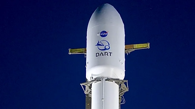 The Real Reason Dart Survived Every Language Death Prediction
