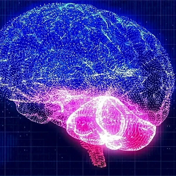 What neural networks Actually Predicts About the Next Decade