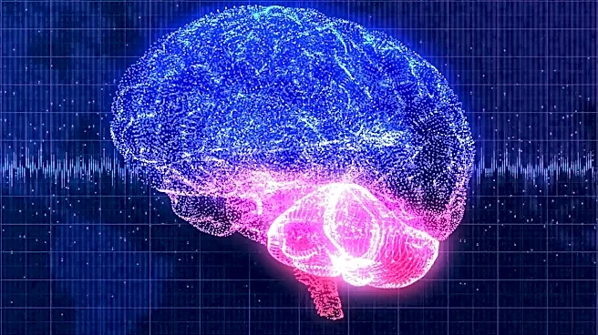 What neural networks Actually Predicts About the Next Decade