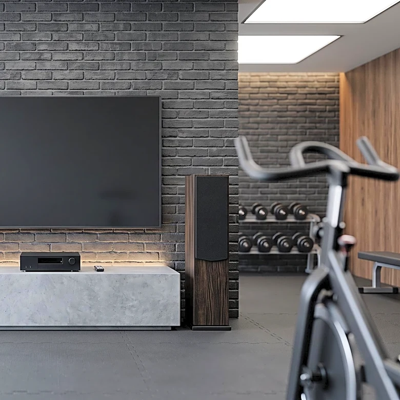 The Hidden Detail About entertainment electronics for the basement gym Reviews Miss